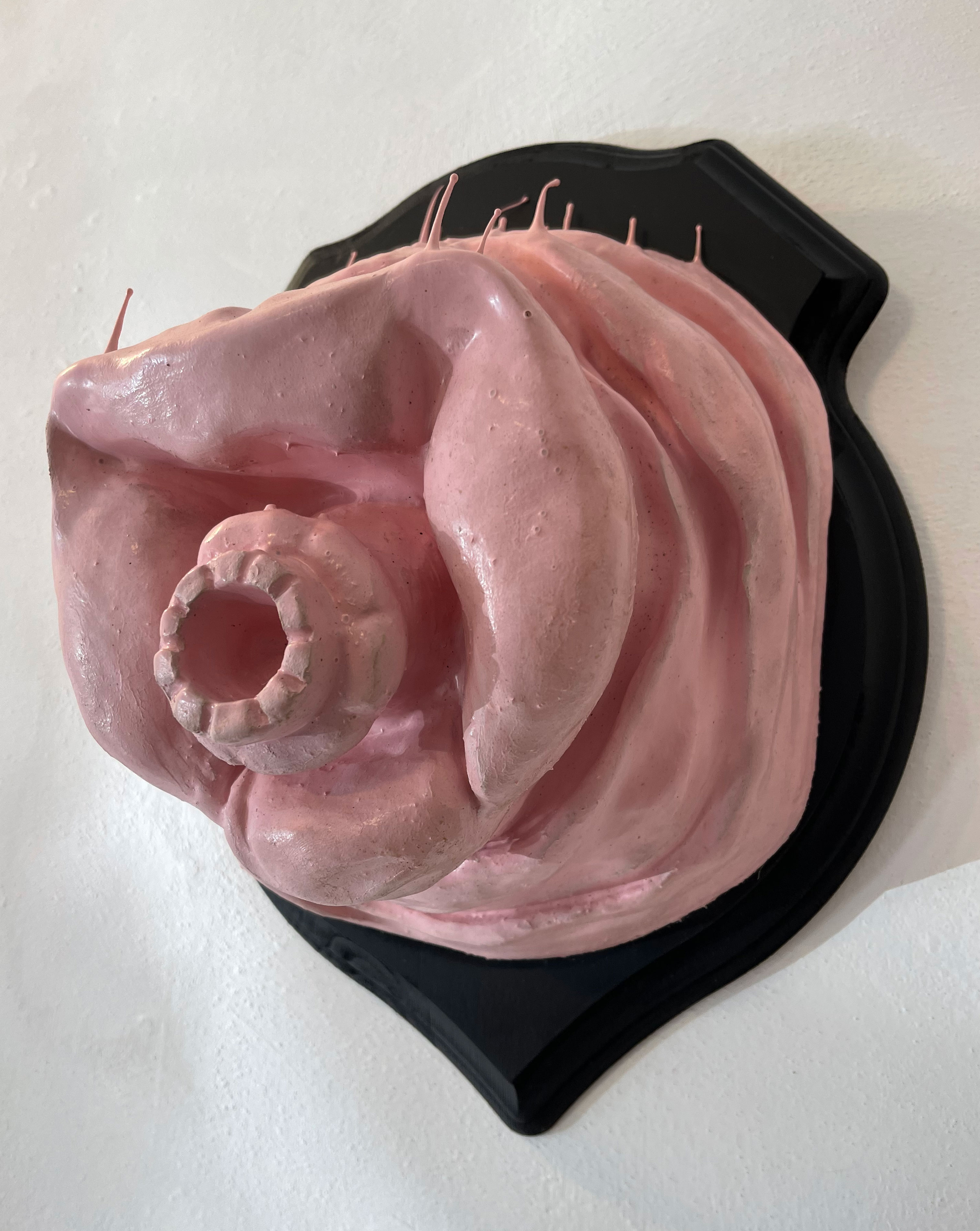 Trophy, ceramic, silicon, wood, 40 x 31 x 20 cm