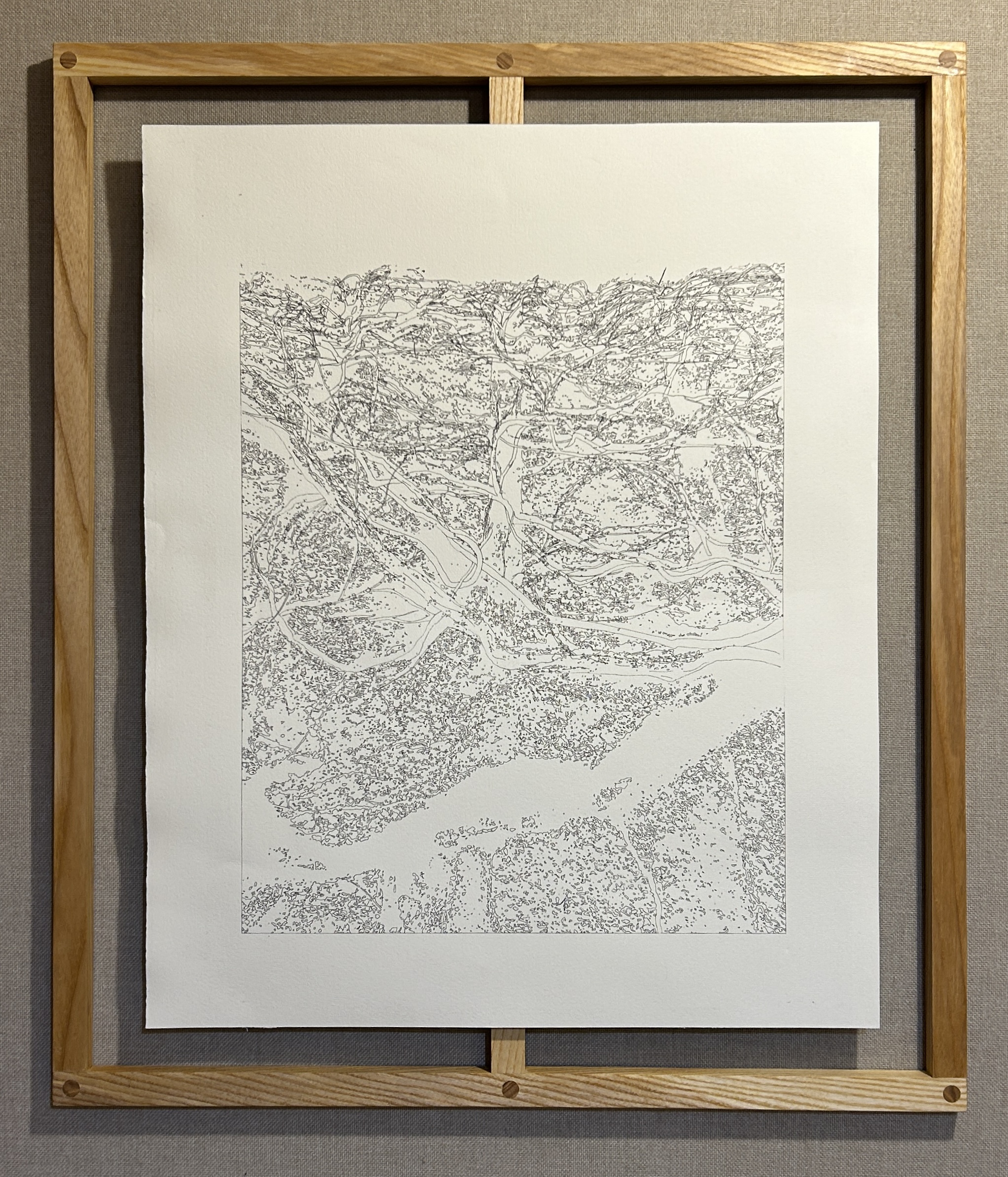 UNTITLED (ENTANGLEMENT)