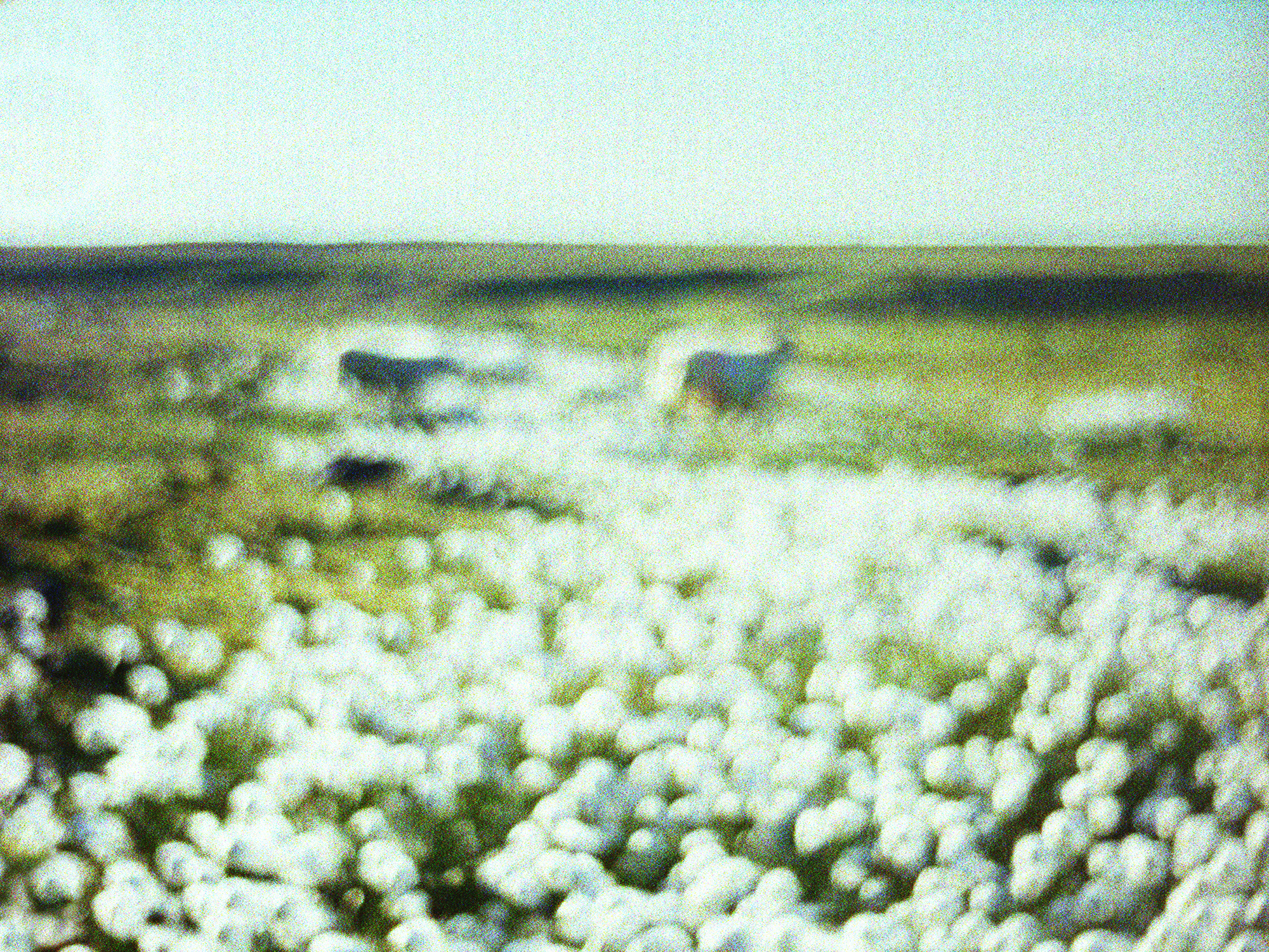 Karahnjukar 002, 2006. Lightprint and plexyglass. h: 15 x w: 20 in.