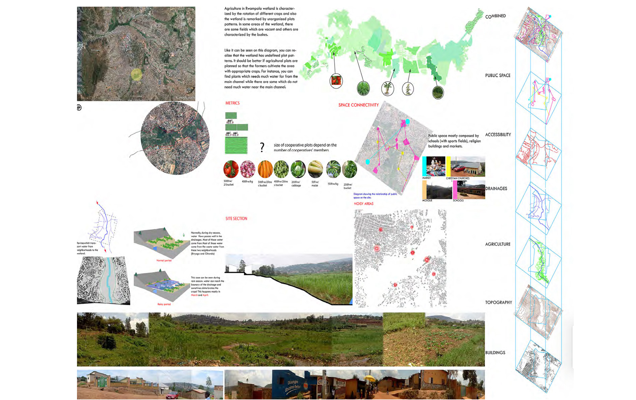 Transect drawings of Wetlands