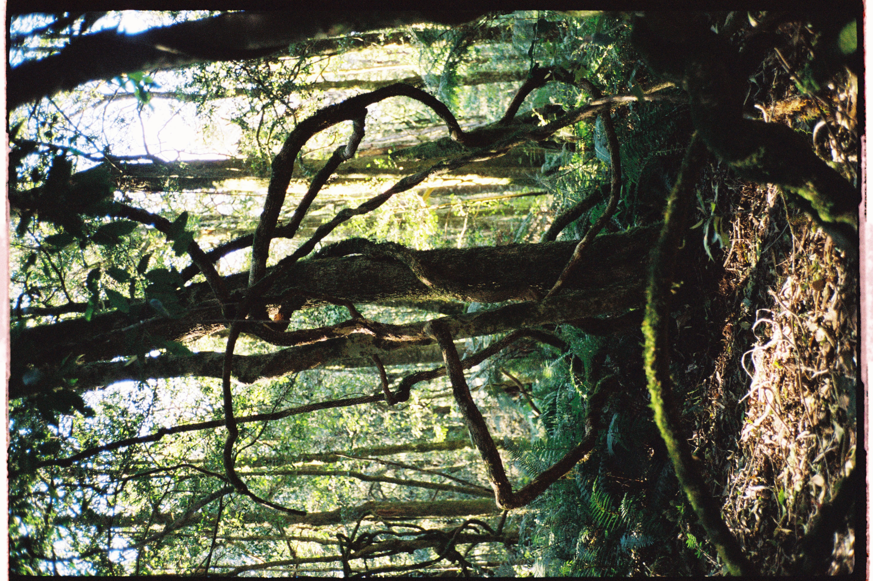 MEMORIES WITH THE EARTH