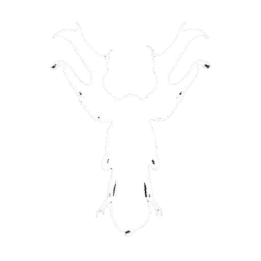 New Genetic CreationsPlaying God