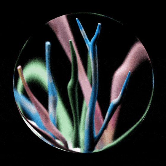 Under a lens