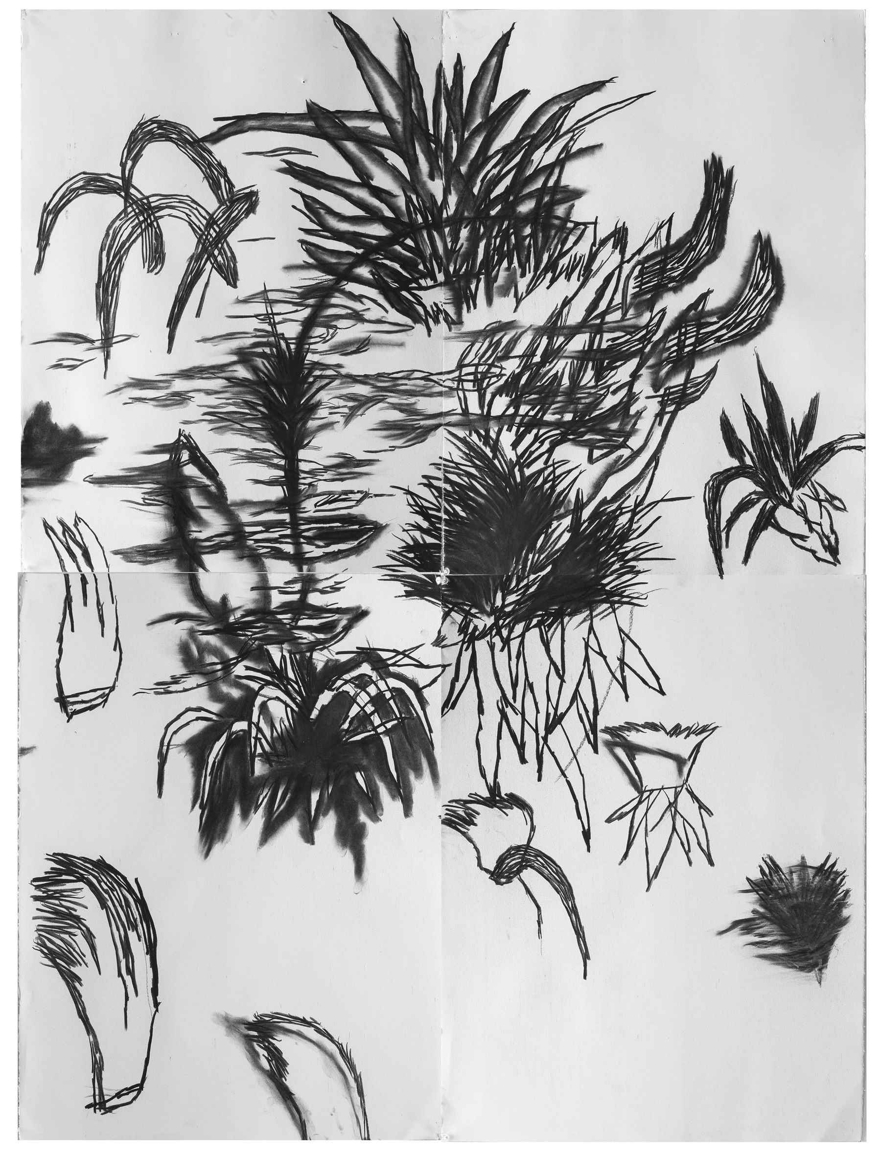 사소한 뿔trivial horn_charcoal on paper_210x221cm_2014