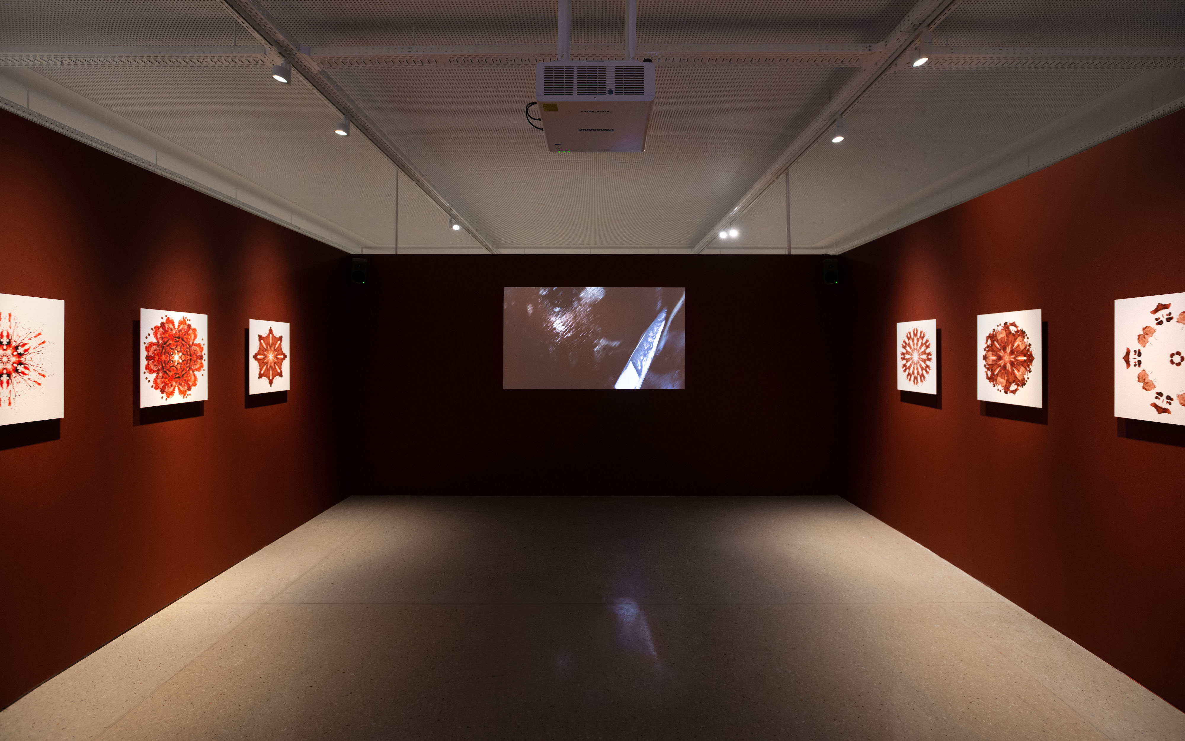 Installation view of And then you see yourself: Zanele Muholi.