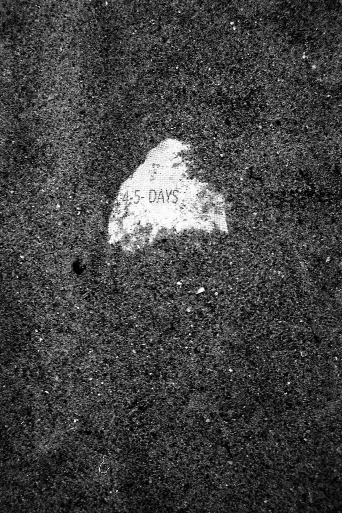 Choreographing Floors