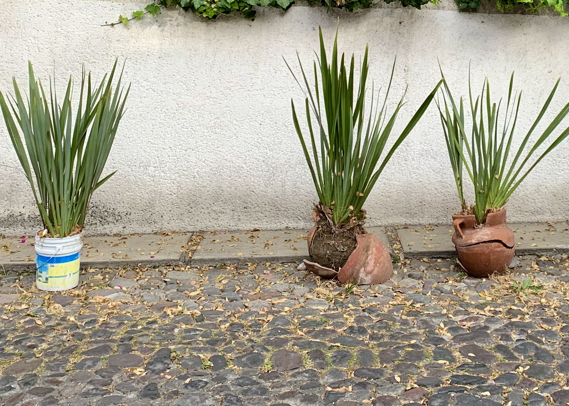 walkworks, 2022-ongoing