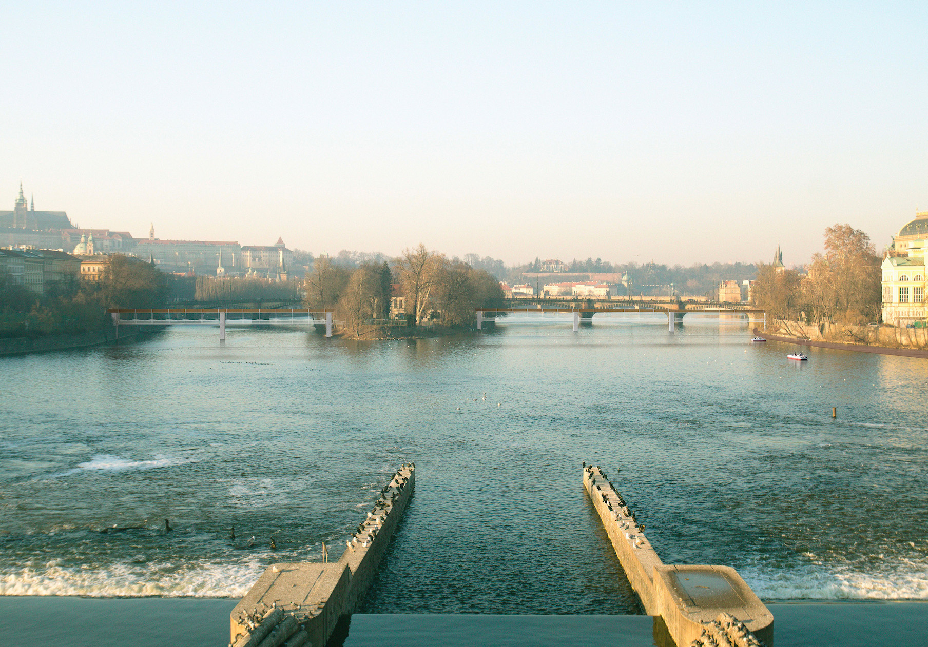 Alžběta Pomahačov&aacute;