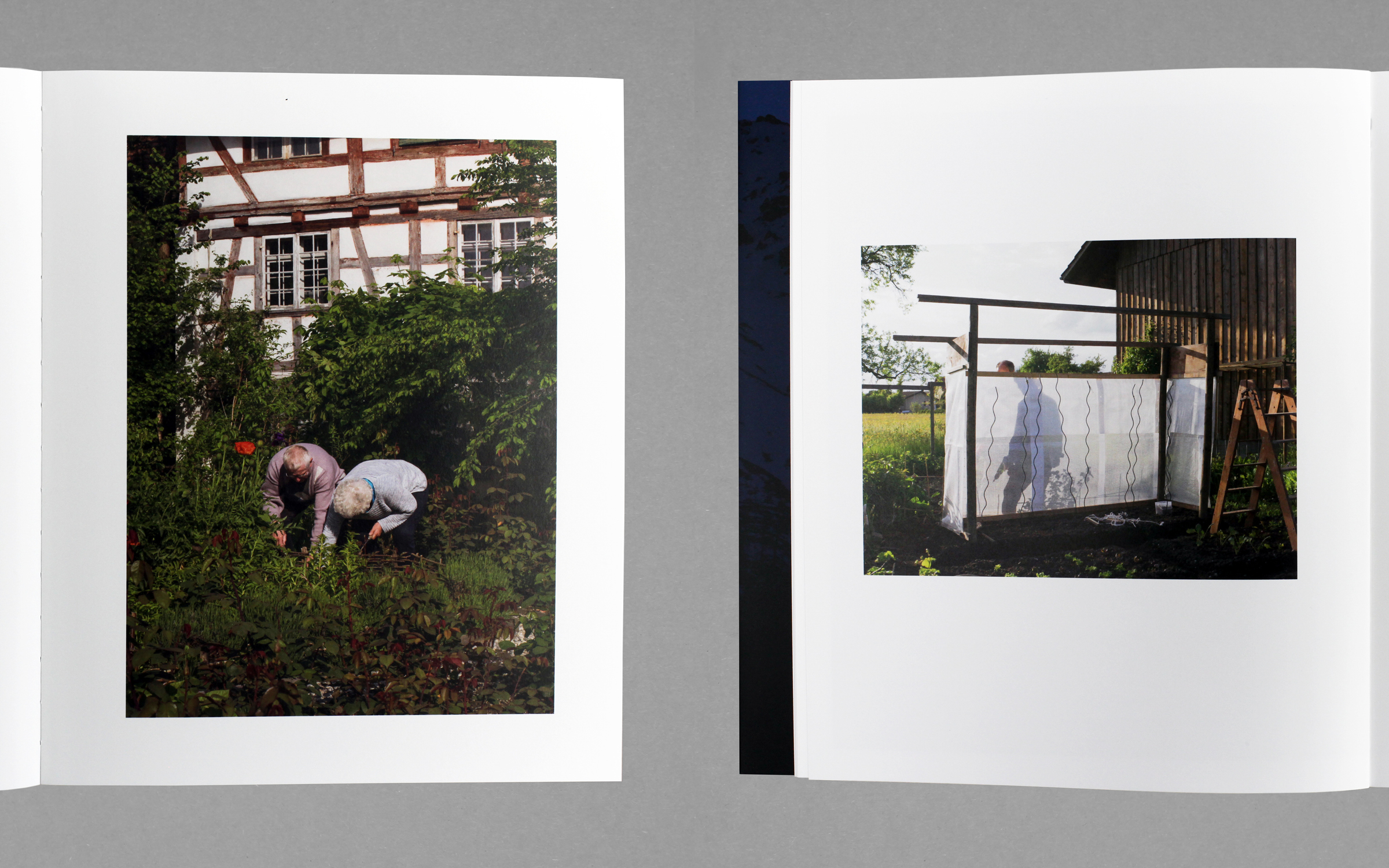 Shane Lavalette — Still (Noon) (Edition Patrick Frey)