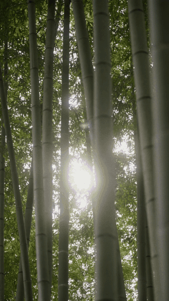 BEAUTIFUL IZU — tourism campaign