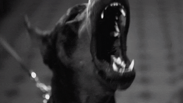 JID ft. J Cole, Sheck Wes, & Kenny Mason - Stick - Head of Production