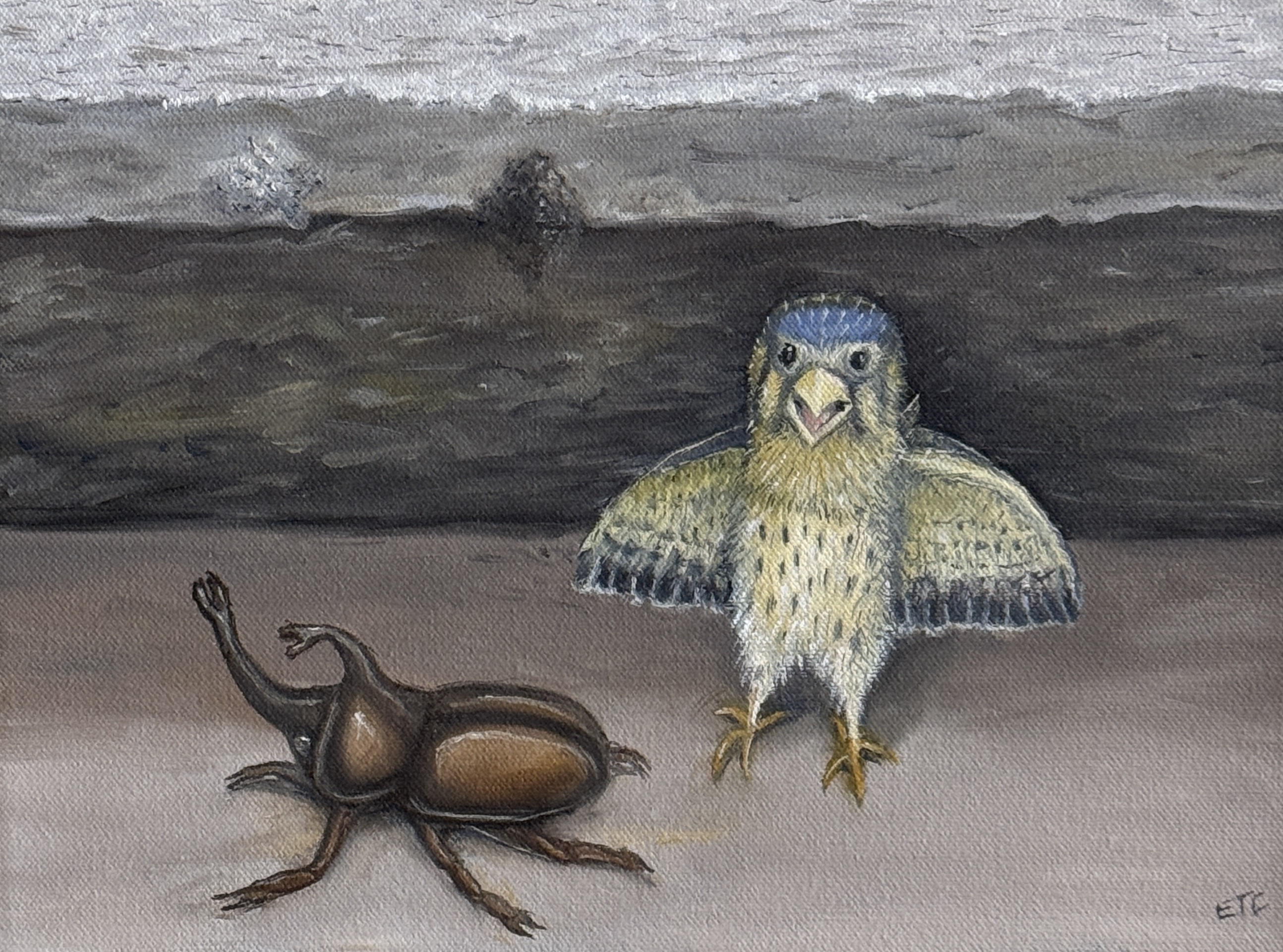 Beetle and Bird $500