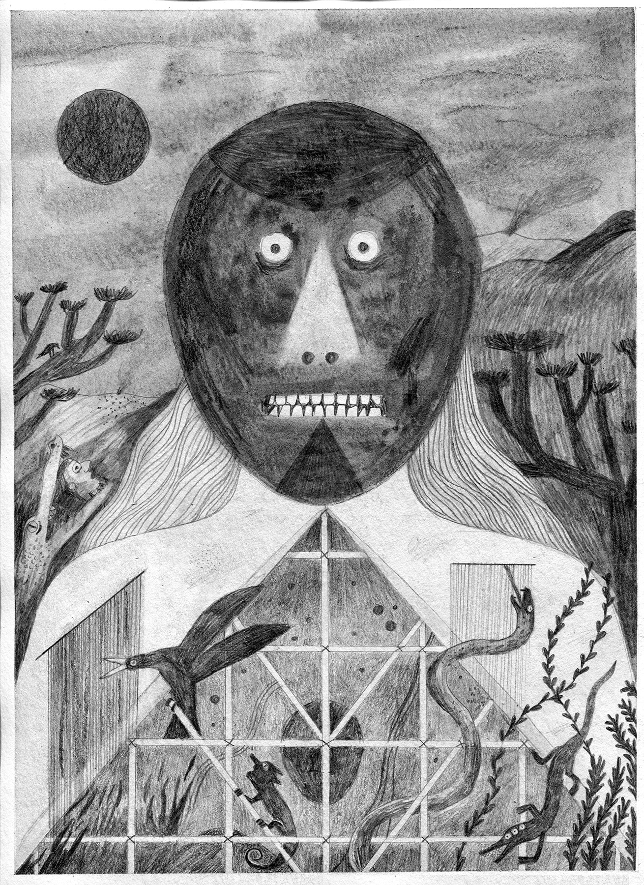 Transhumance Drawing Serie