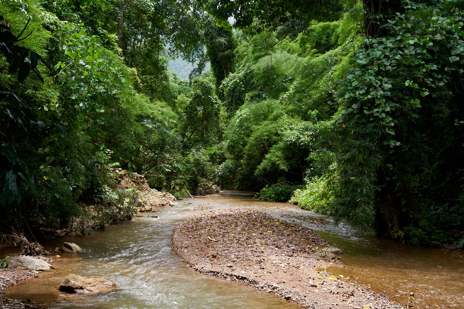 Hao Nam Thailand 08/2018