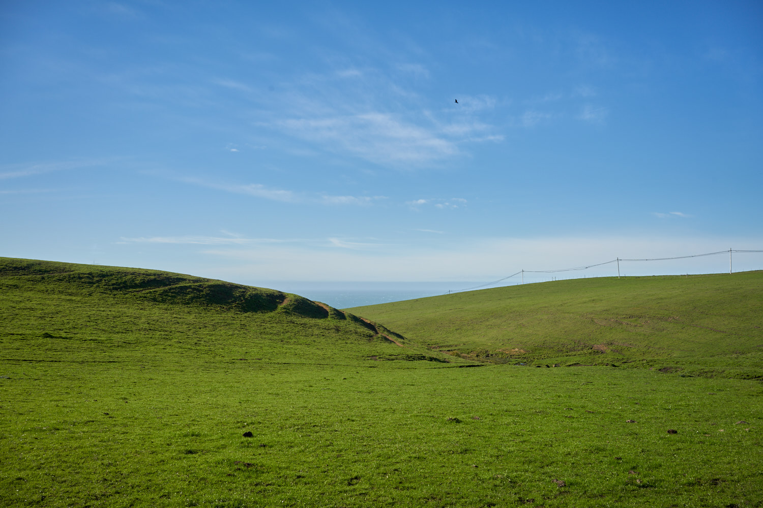 2019 Bodega Bay California