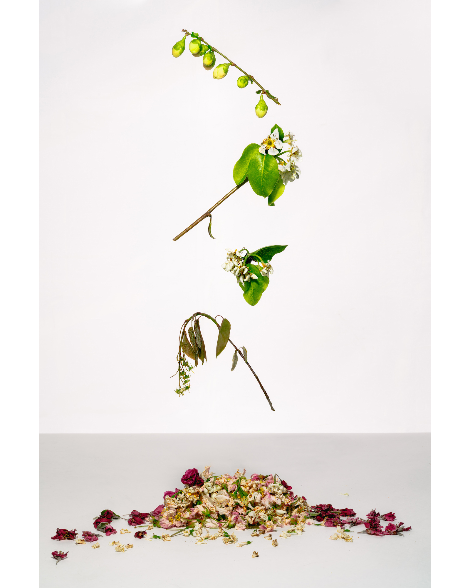 We Are Fading Faster Than You Think