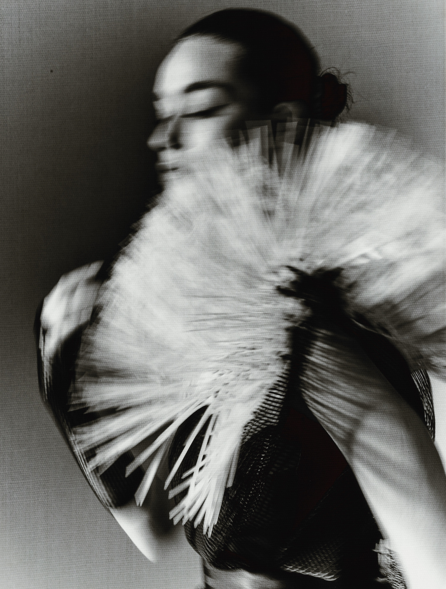 "DANDELION" for SCH&Ouml;N! MAGAZINE