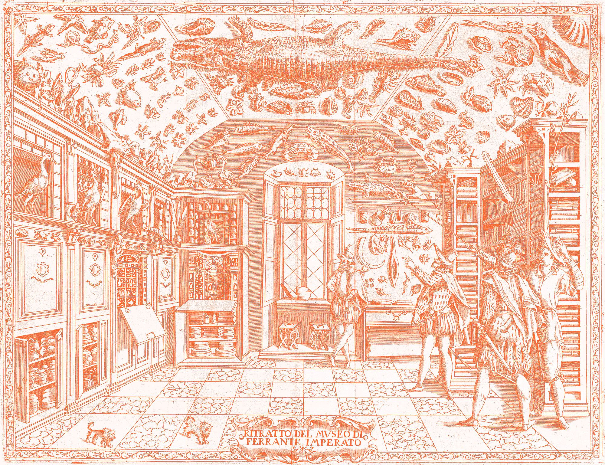 The first published pictorial representation of a Renaissance cabinet of curiosity in Ferrante Imperato’s Dell’historia Naturale, 1599.