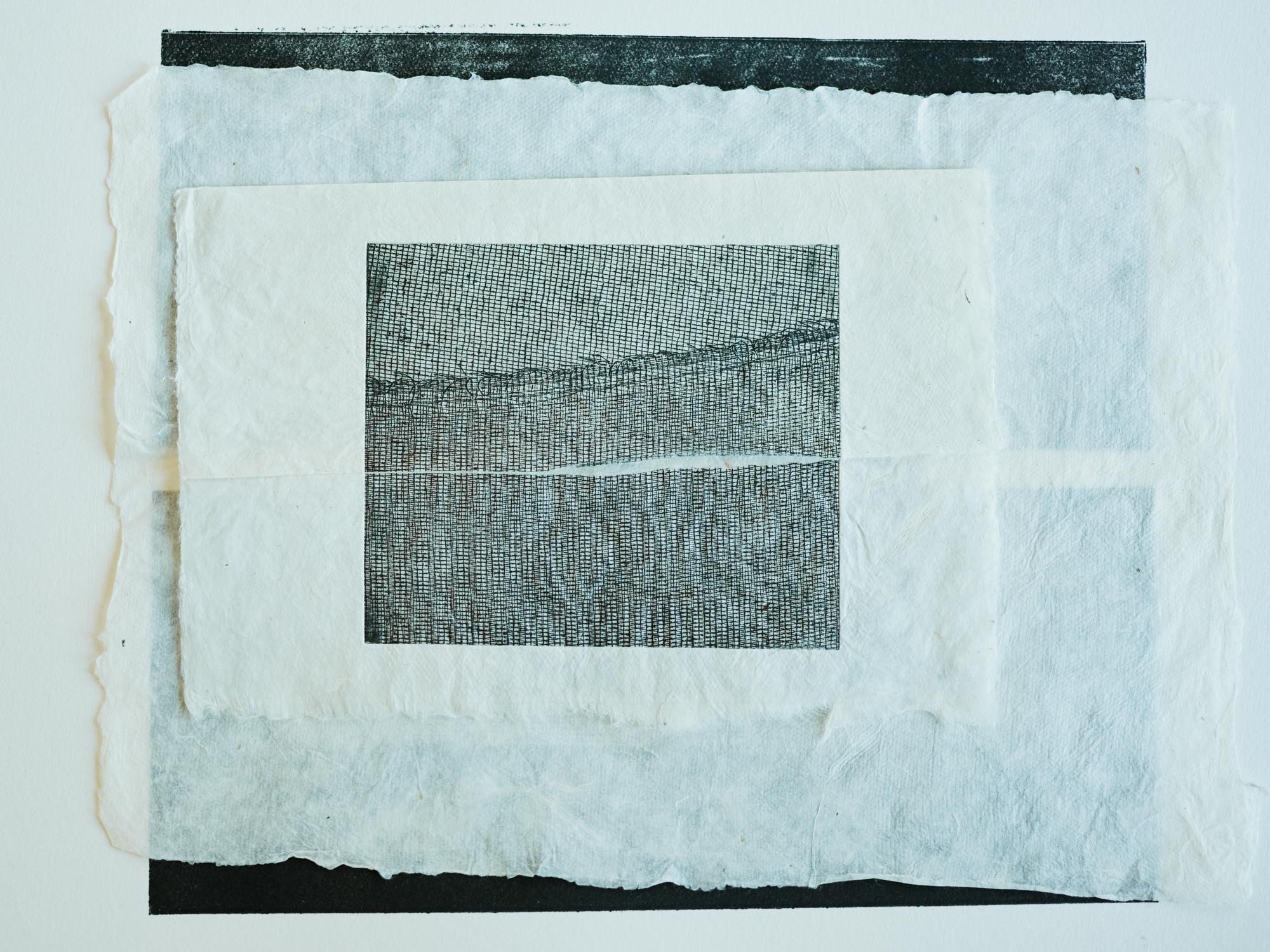  Pelagia Dalduris, 2023