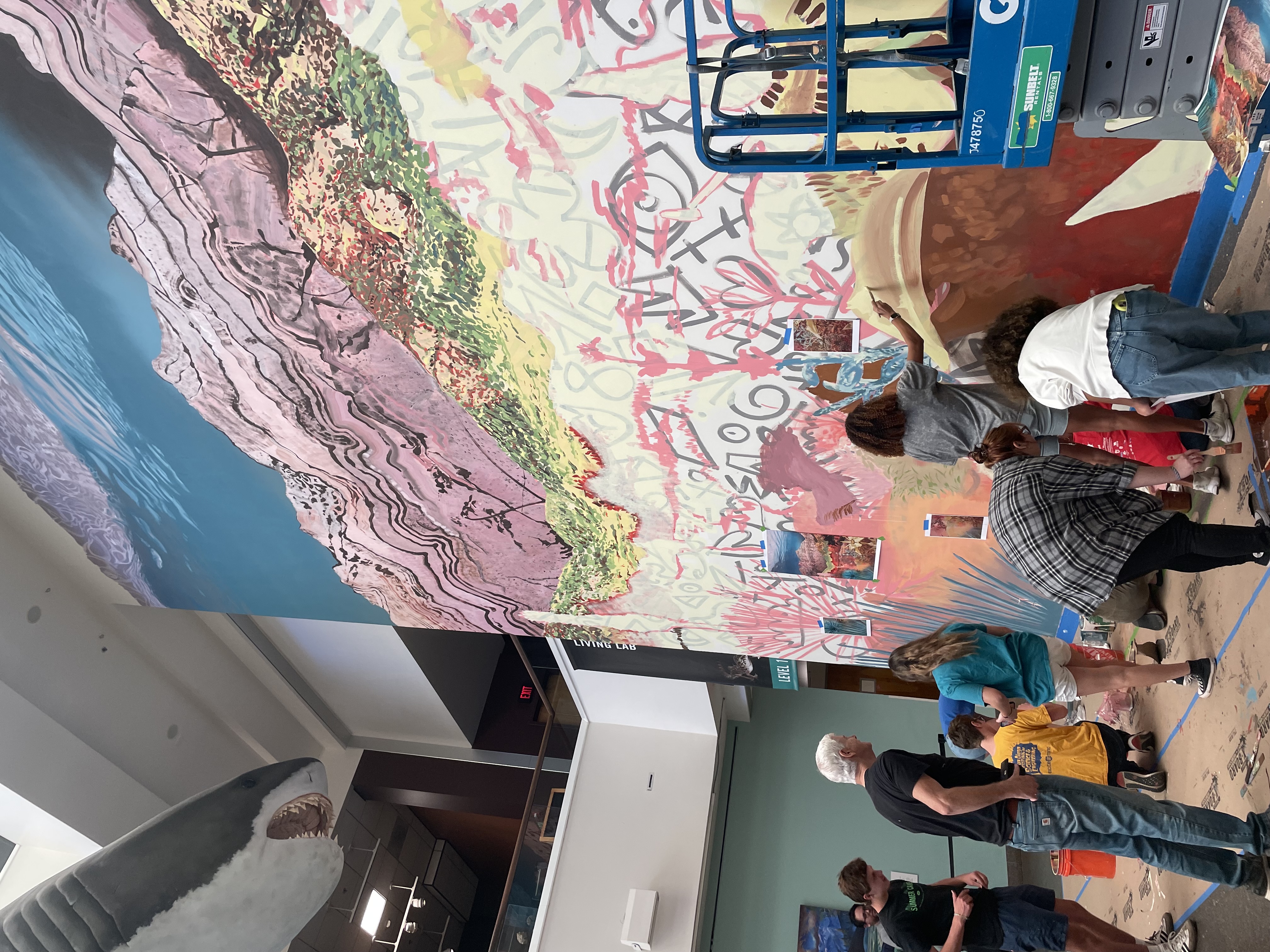 Frasera, Community painting day