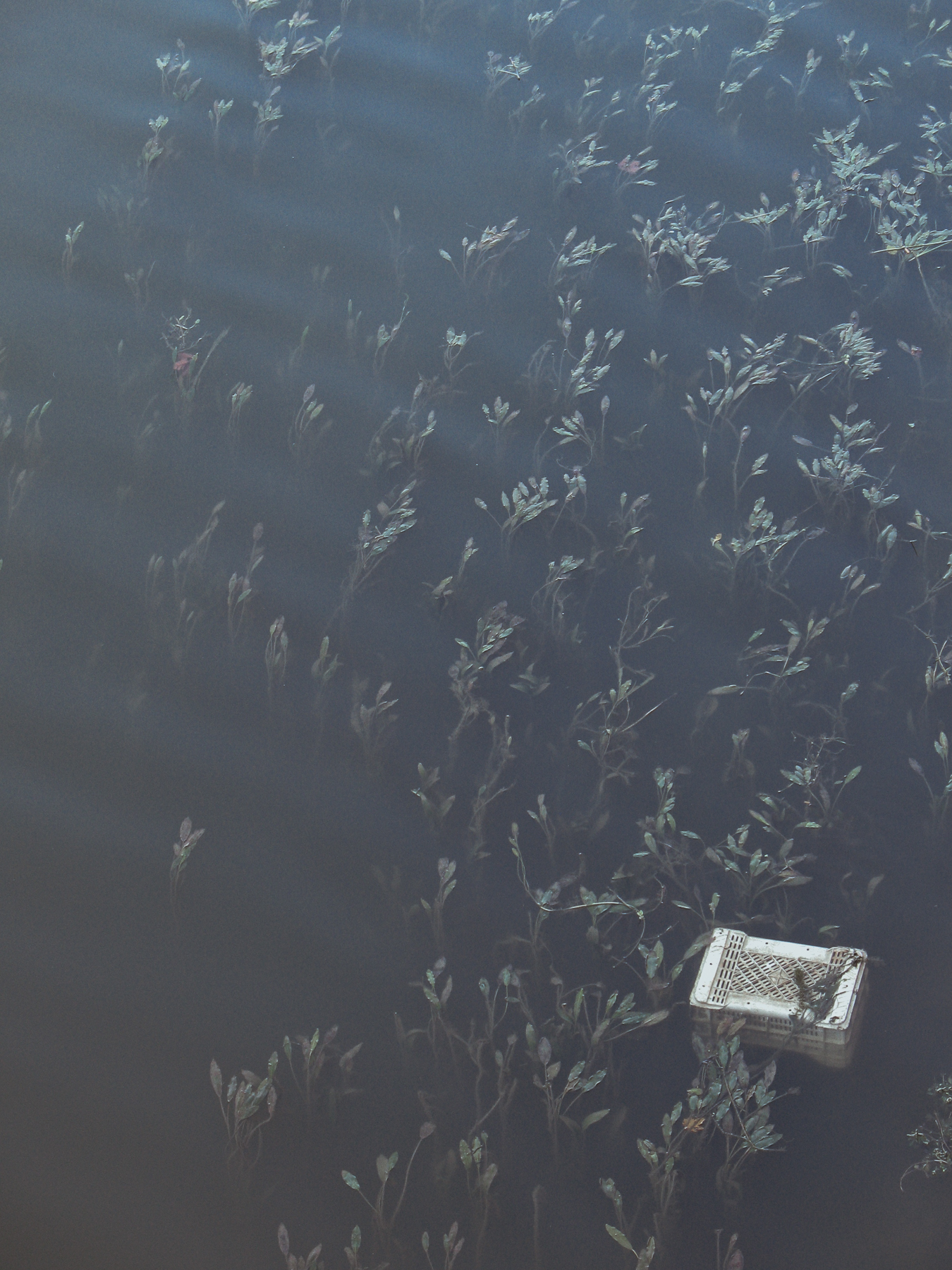 Arno River, Florence, Italy
