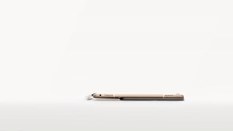 Apple iPad Pro Imagine What Your Computer Could Do  (password protected)