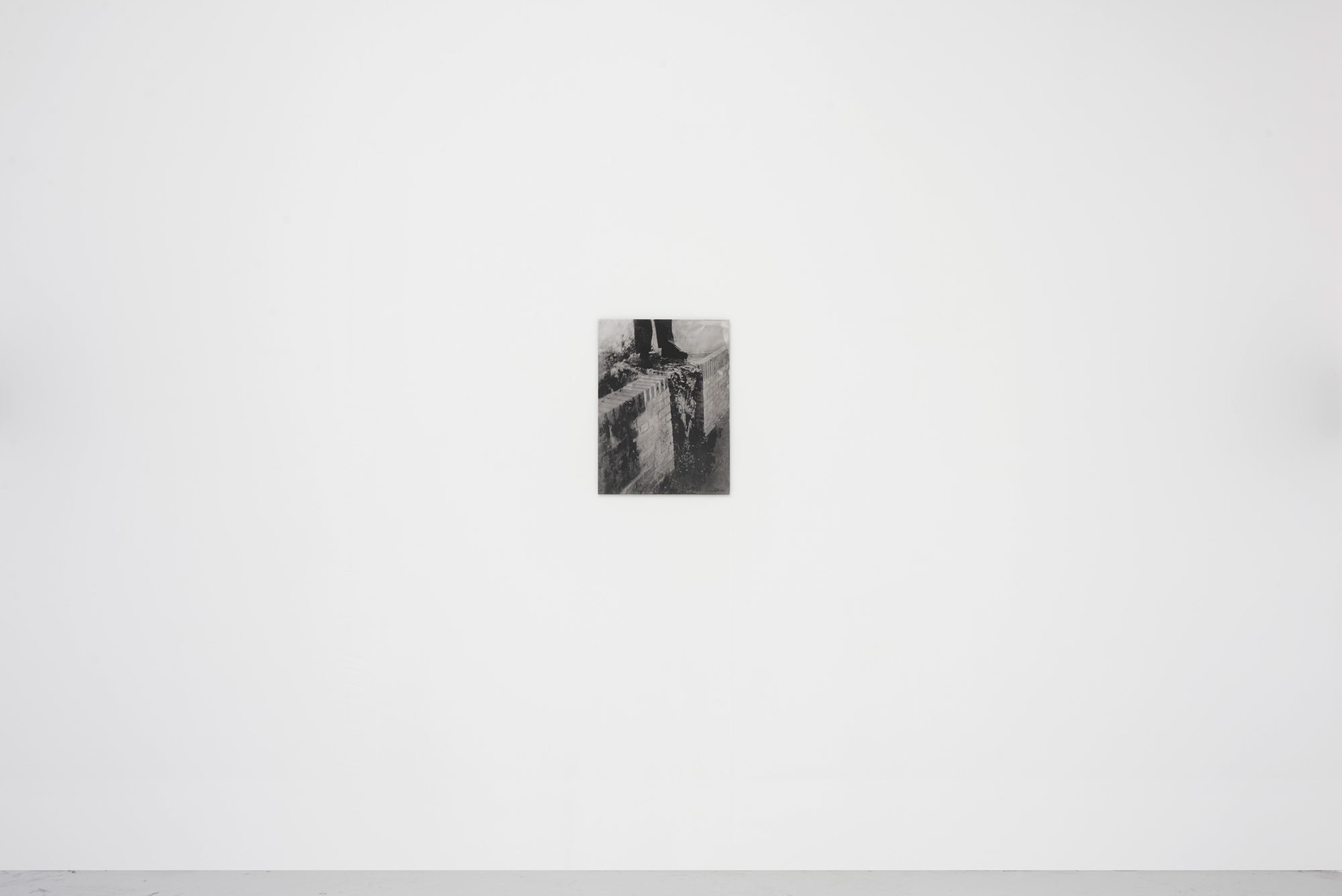 Still growing, 2021. Charcoal dust silkscreen on mirrored steel