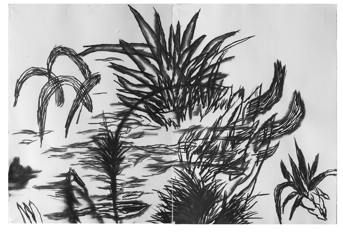 사소한 뿔trivial horn_charcoal on paper_76.5x114cm_2014