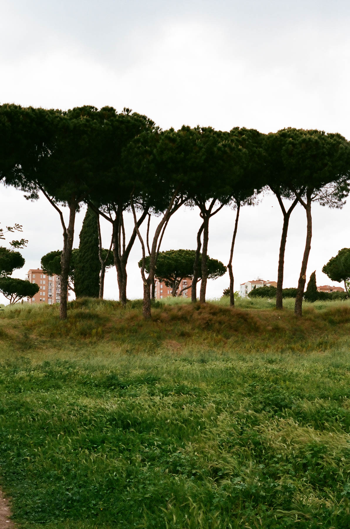 ‘On Europe’, Roma, 2017