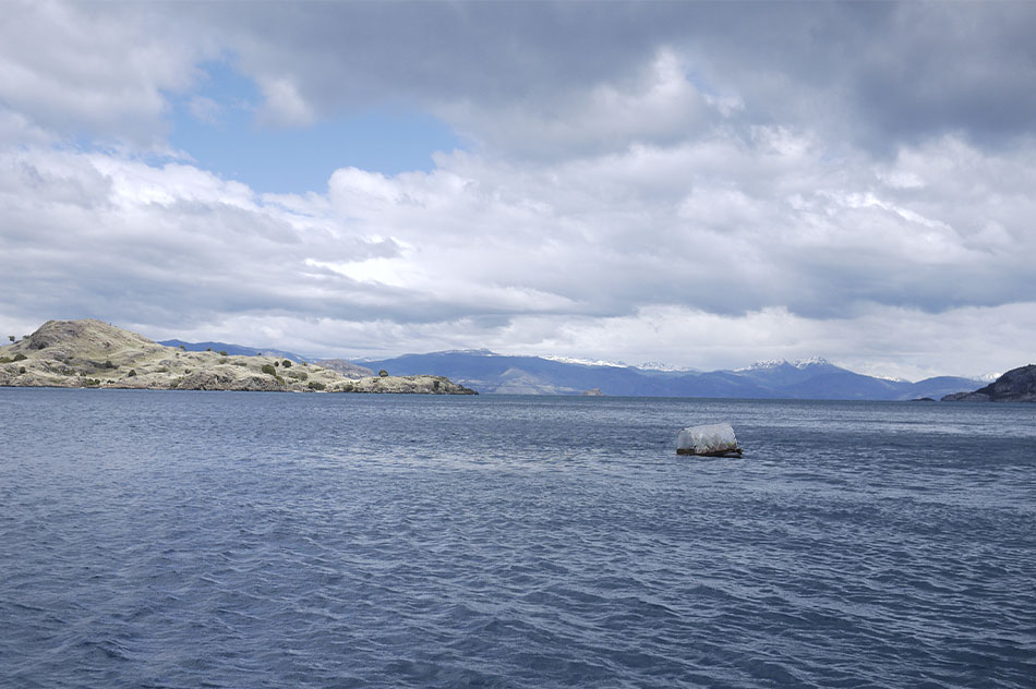 Máximo Corvalán-PincheiraProyecto Invernadero, 2013Installation of 9 photographs, 4 drawings on paper and a digital videoVariable dimensions (detail)