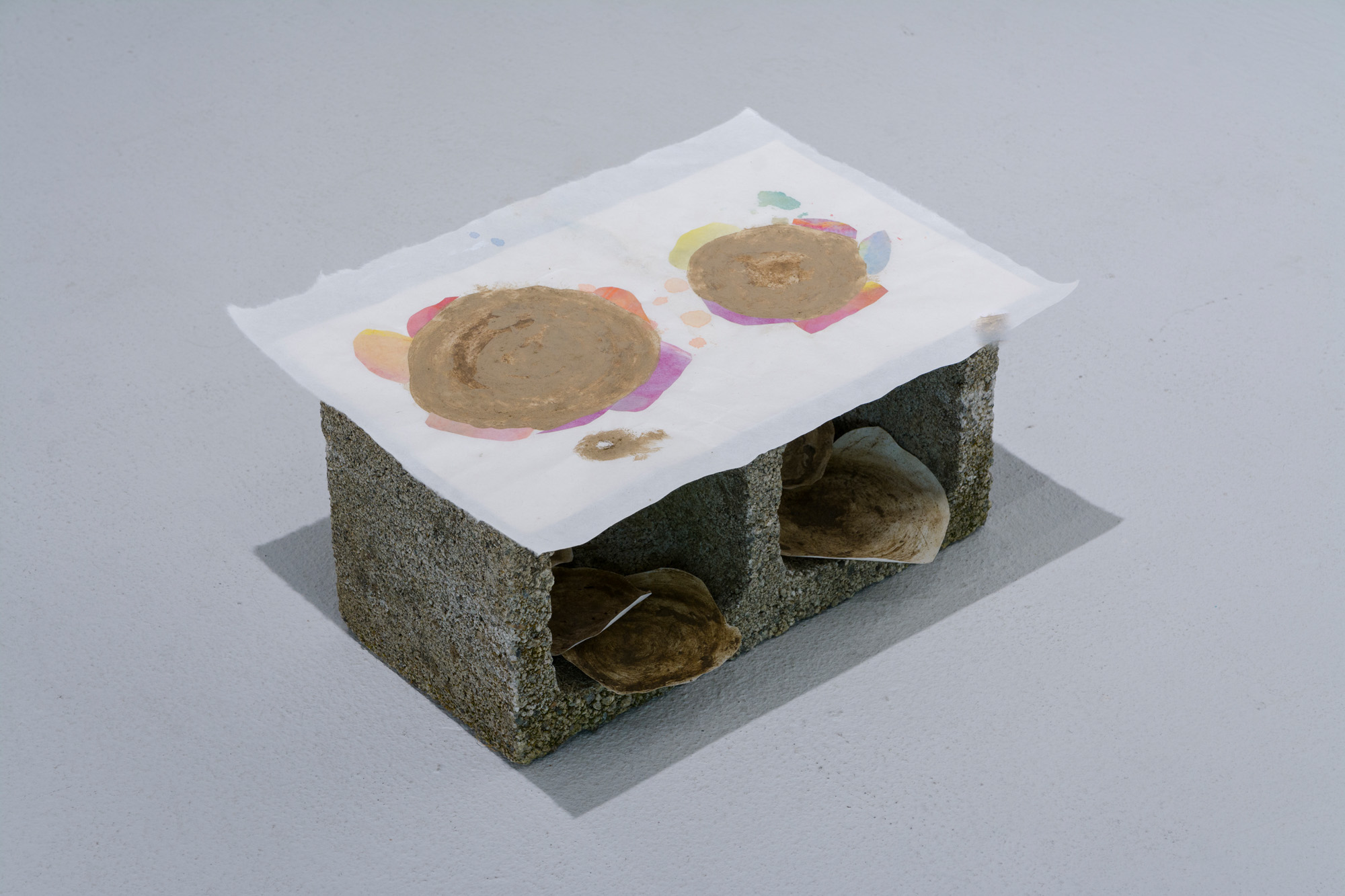 Mud Pies, soil and watercolor pencil collage on paper, 2021