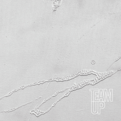 TEAM UP