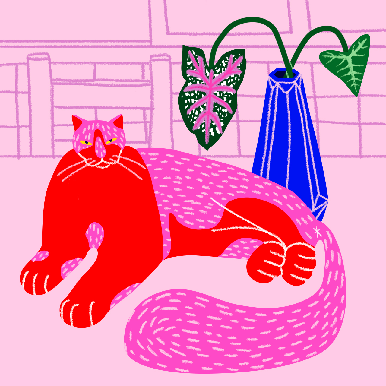 Pink Cat