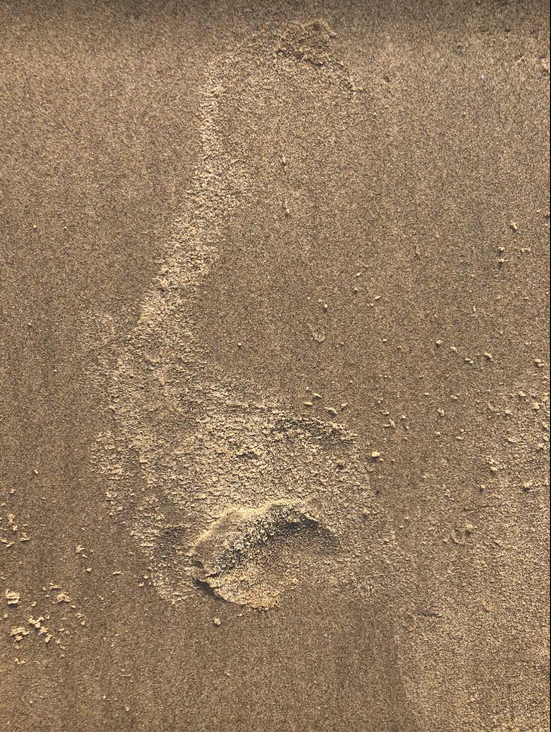 Choreographing Floors