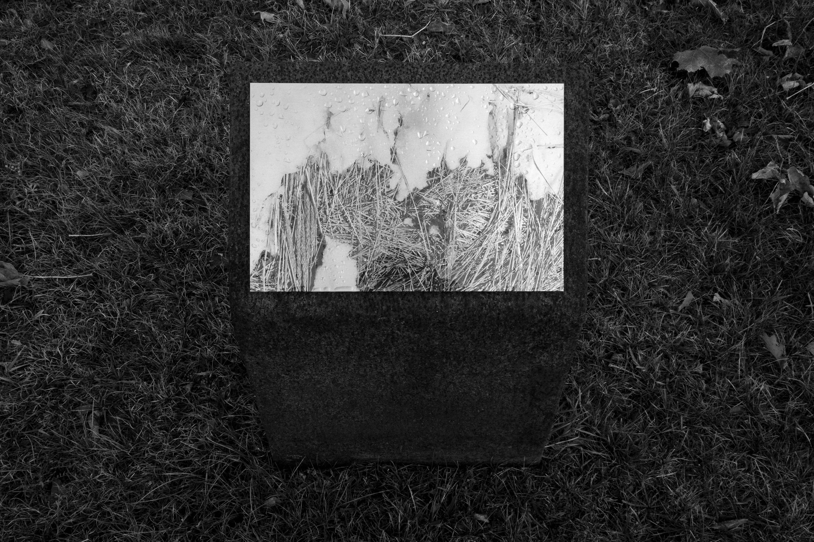 Sheldrake : Vue d'installation / Installation view, Tracadie, NB (crédit : Félix Michaud)