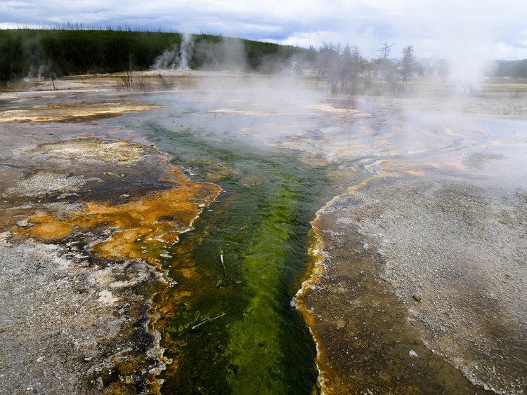 Yellow Stone National Park, USA, 2017