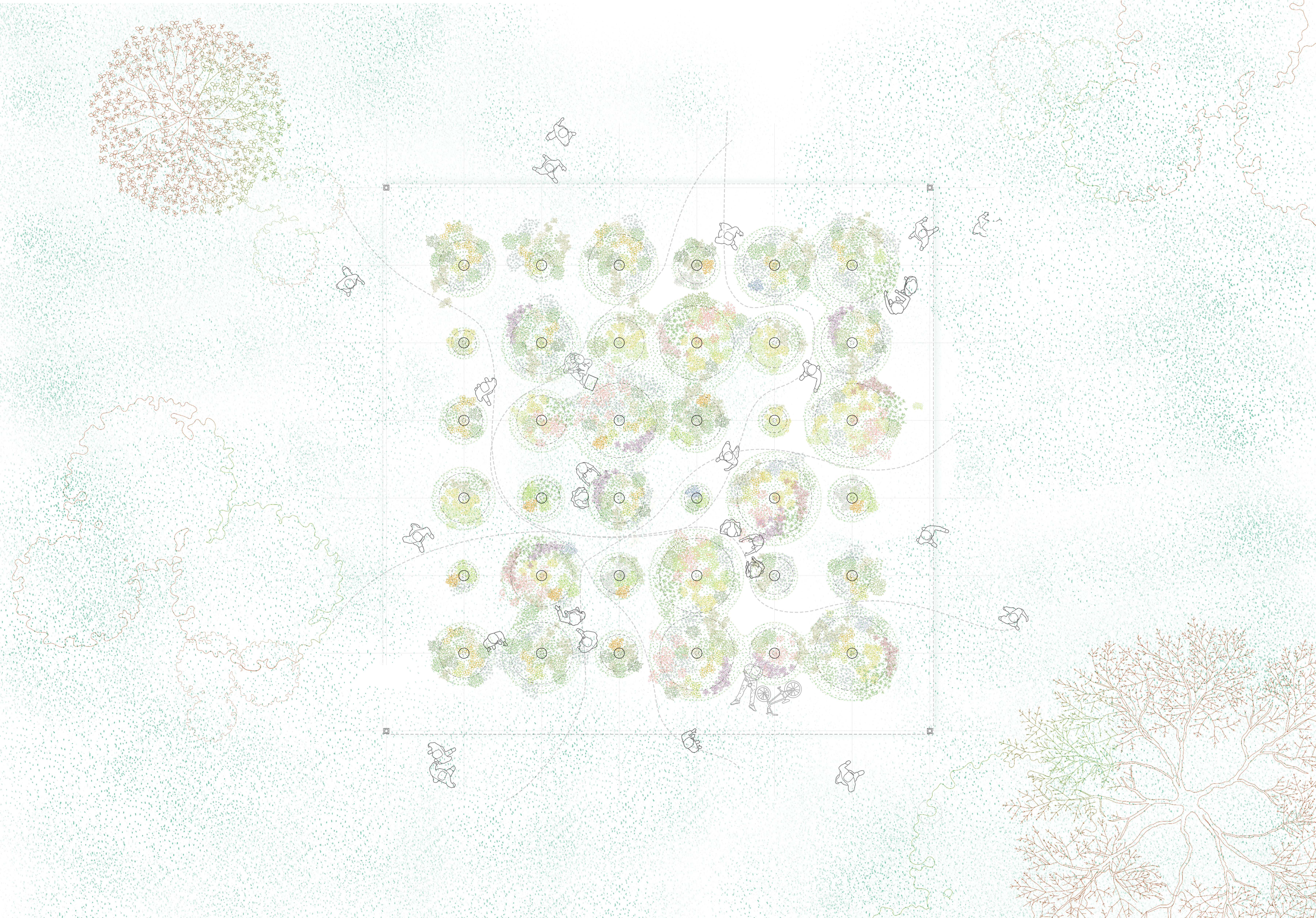 Plan Drawing