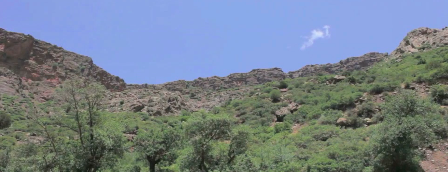 Comparison Of Appearance