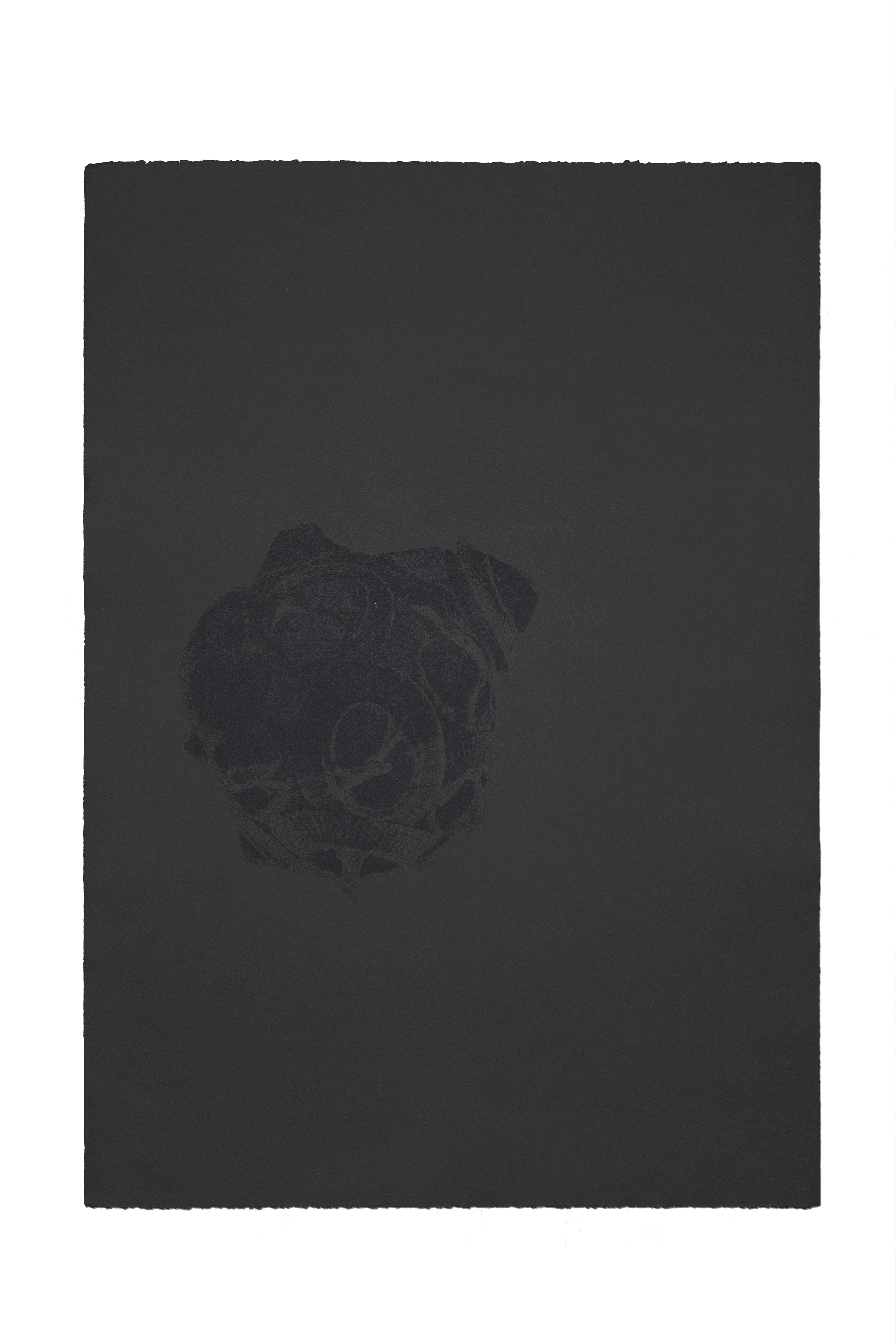 Barbara De Ponti, Clay Time Code_Pleistocene Plankton_B2, 2022, inchiosto calcografico nero e polvere di Argille Azzurre su carta Velin Arches Blanc, 104 x 75 cm, ph. Giulio Boem