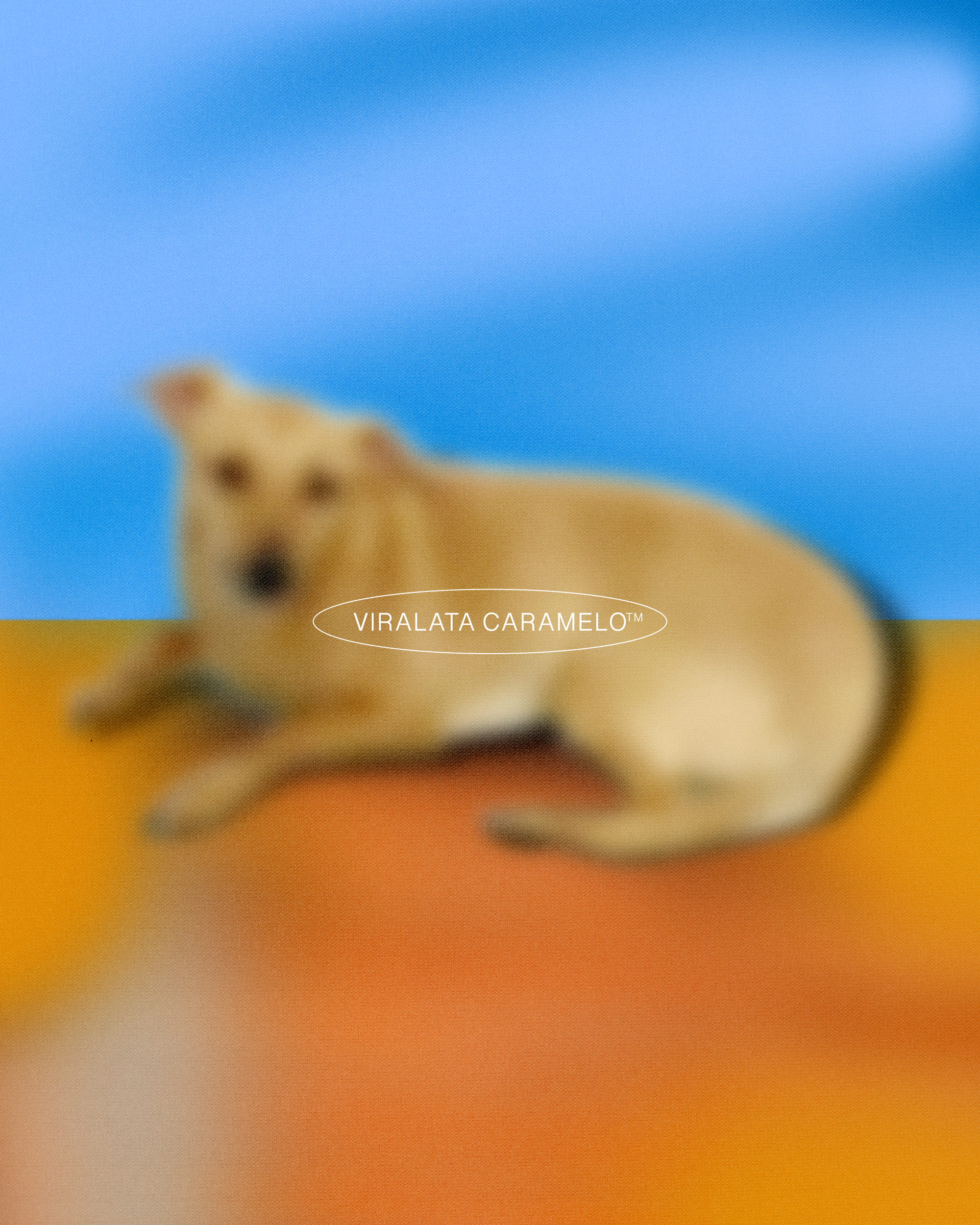 Doggos Collection/Viralata Caramelo ✶2020 