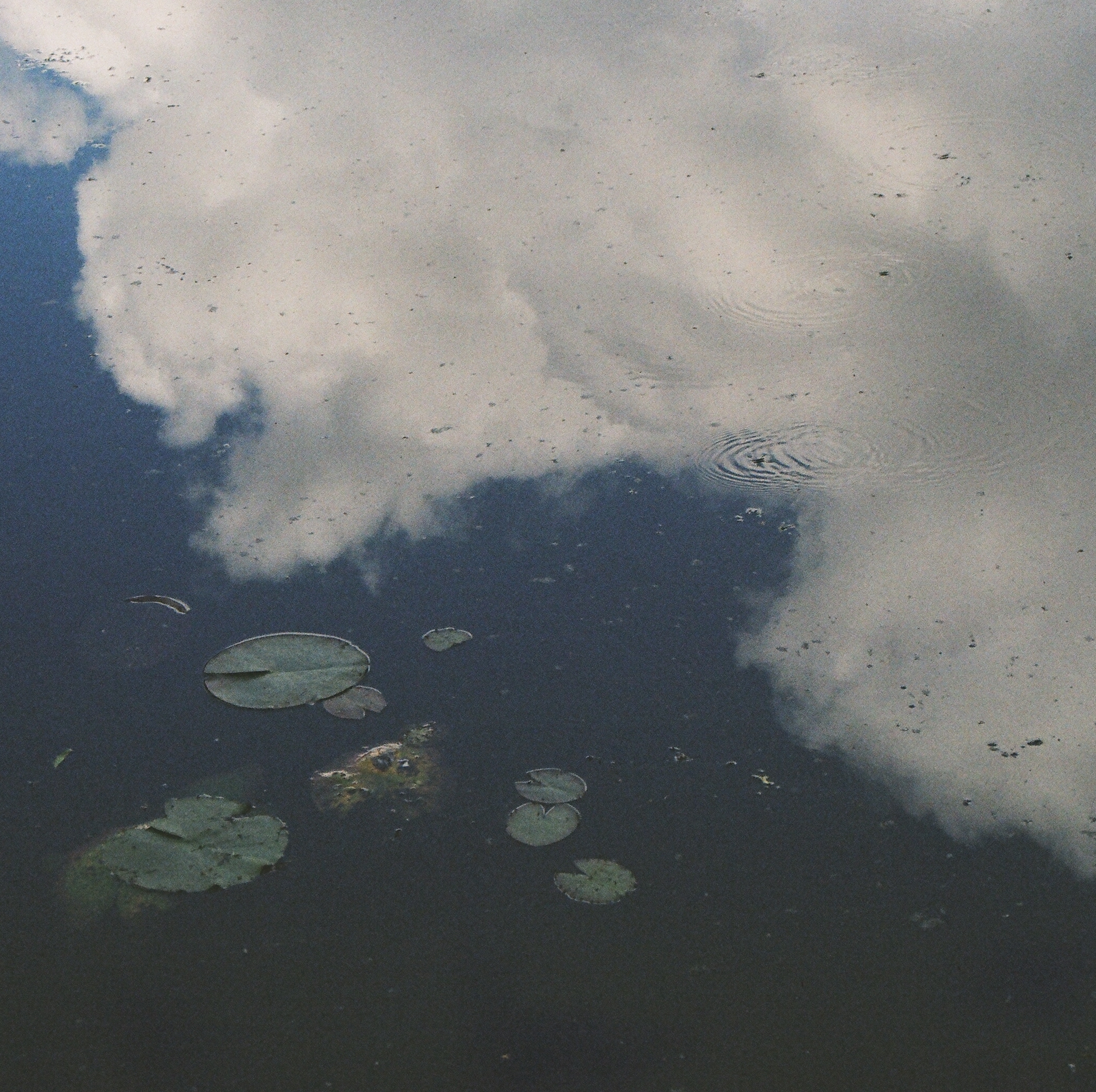 Xandi McMahon / Warmer Signs