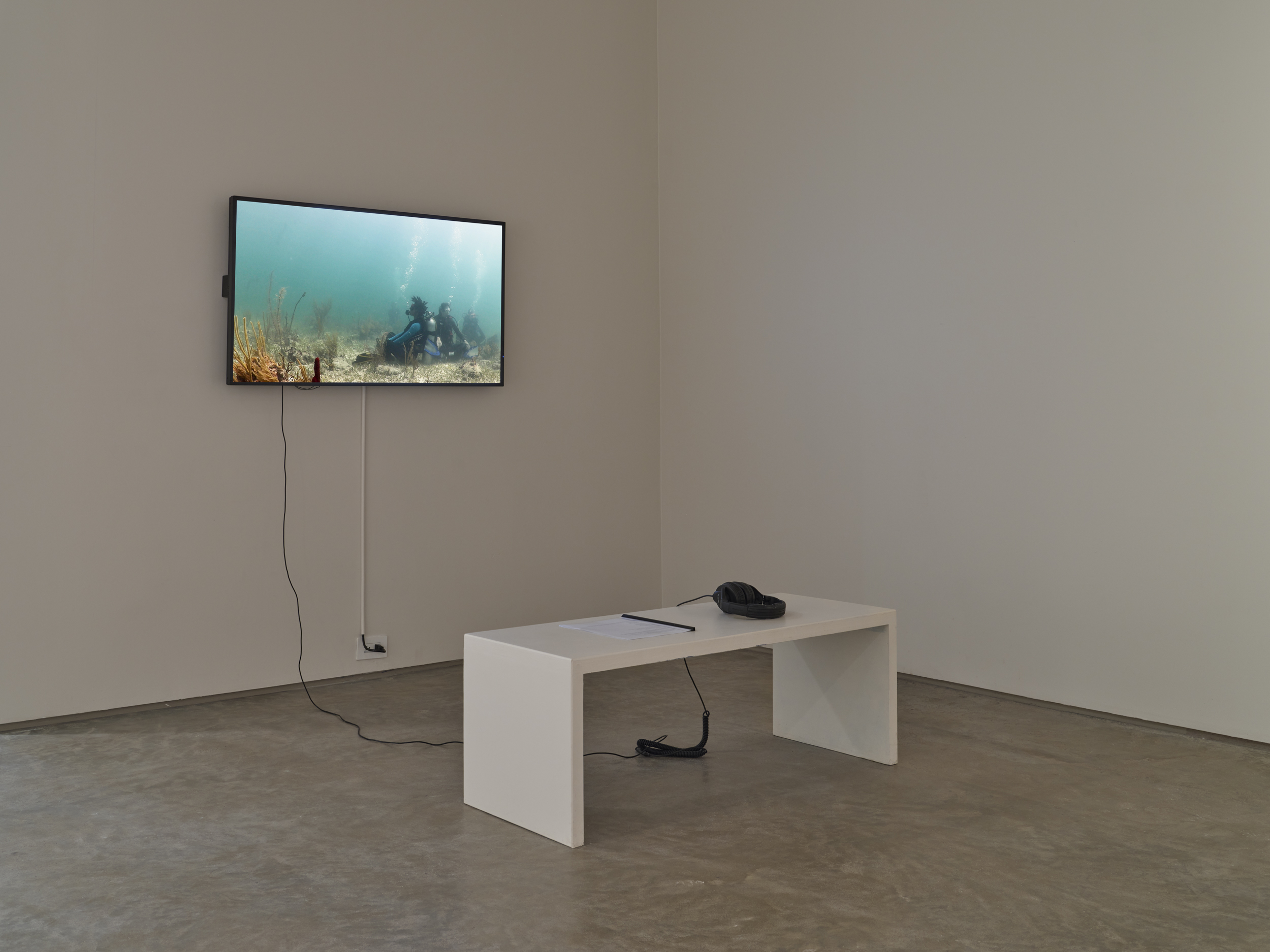 Meditation Ocean Constellation, Meditation Reels from M.O. Turtlegrass Meadow,2023. Channel two of a three-channel video with five guided meditations, featuring Riane Tyler's "Your Deepest Ocean Meditation,&rdquo;19 min 8 sec, looped. Photo by Flaneurshan.studio