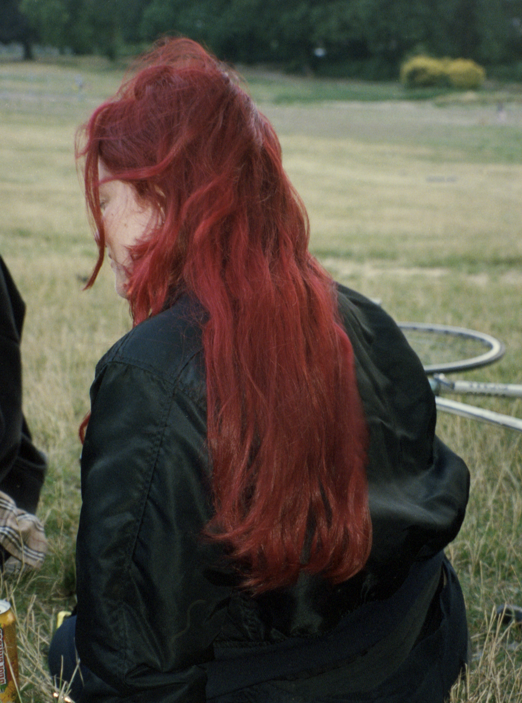 The spirit of Romance, 2024