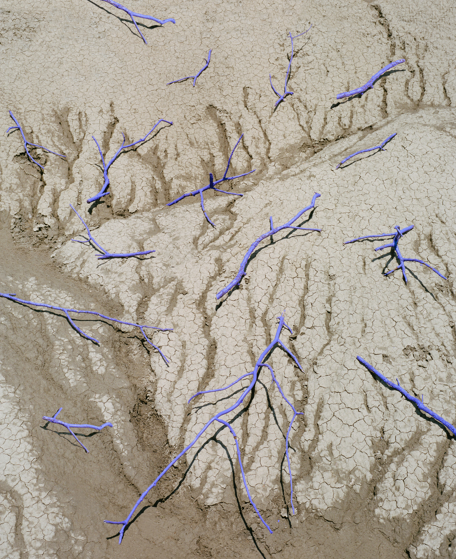 66) 32x40cm 180&euro; / 40x50cm 260&euro; /  edition of 20 +1AP in each size