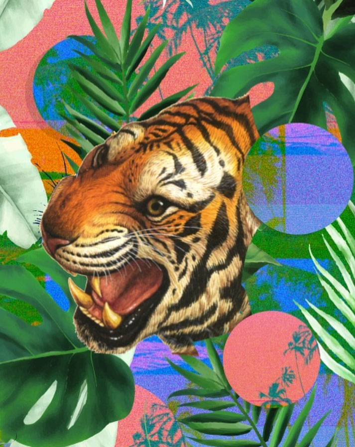 Anais Eleonore Bikini