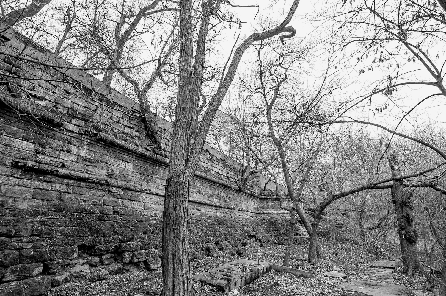 Labourbe Hill_Site_04