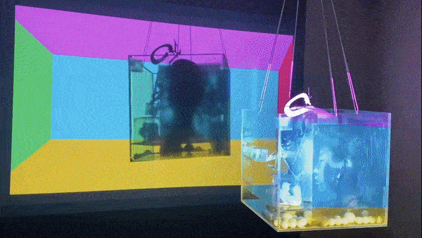 Scholastic Art & Writing Award National and Regional Gold MedalGold Portfolio Award 