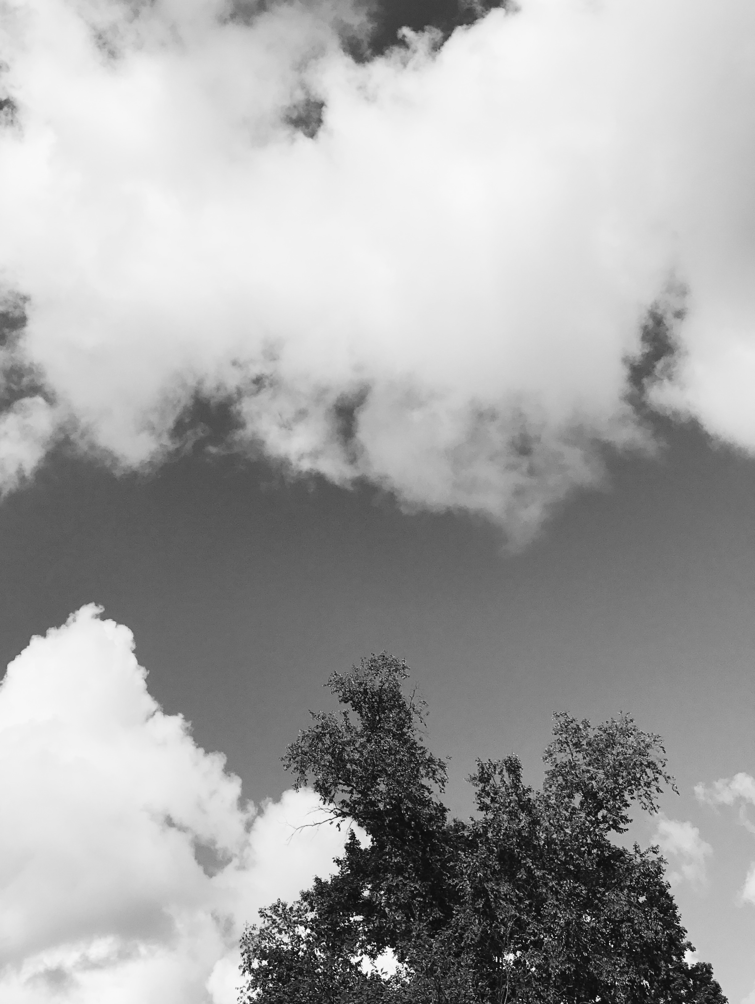 Selected Monochrome Photographs