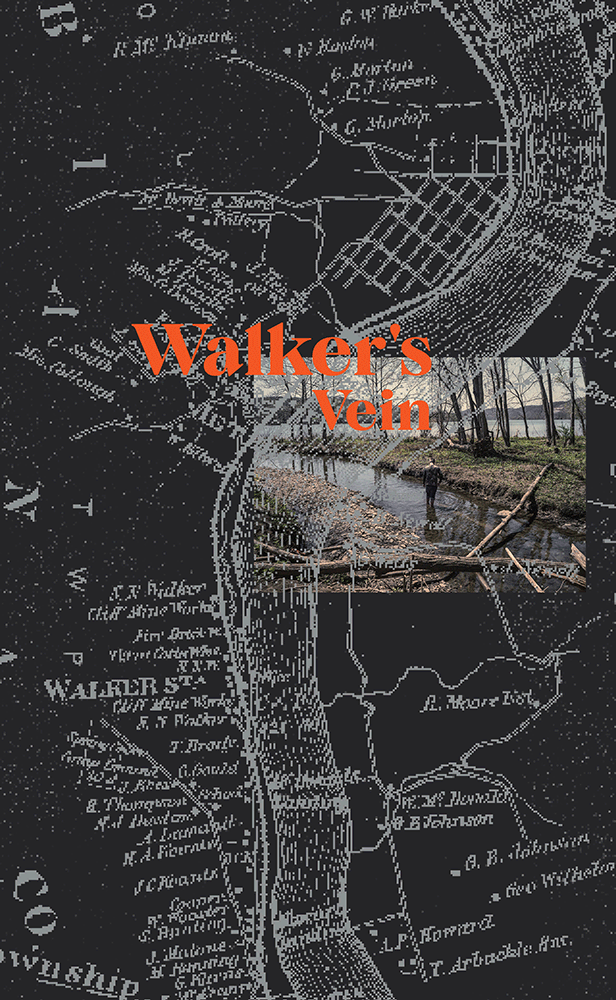 Walker’s Vein by David Bernstein