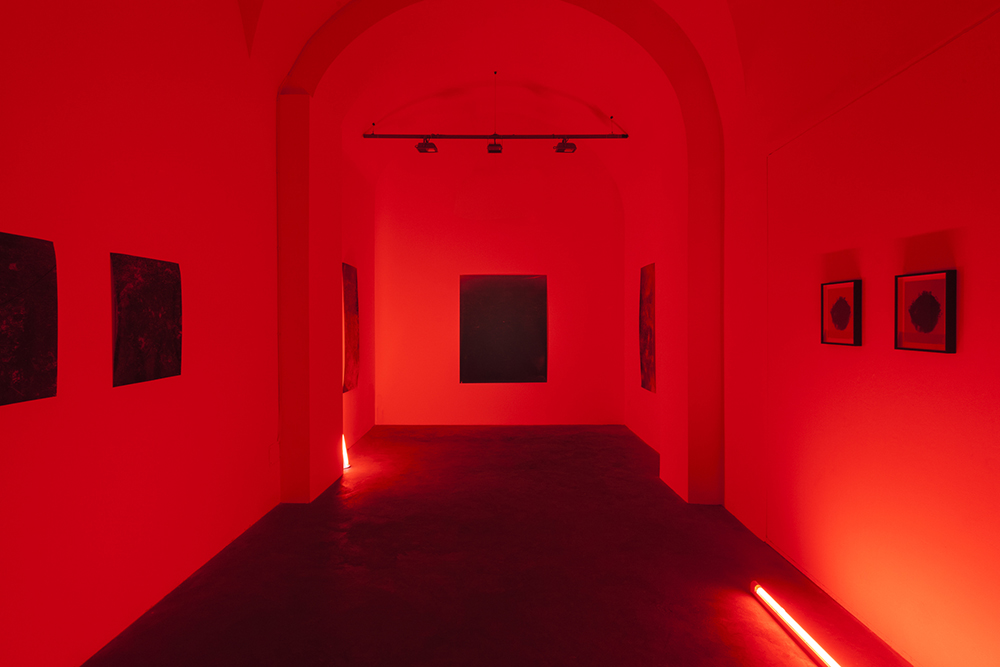  Chemically unfixed silver gelatin photographs, red darkroom safelight. Installation view, Matèria Gallery, Rome.